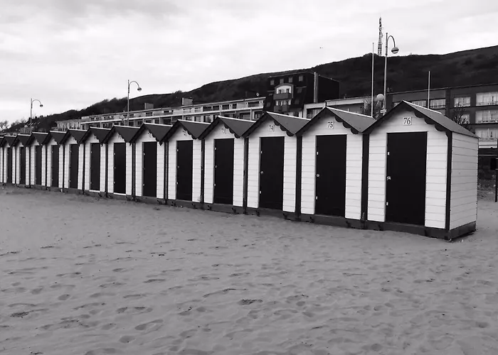 公寓 Queen Marina Face 滨海布洛涅