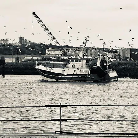 Queen Marina Face Boulogne-sur-Mer